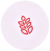 Privacy icon
